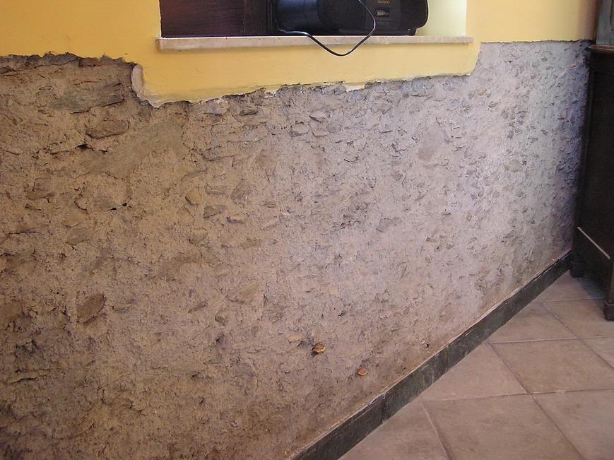 fungo nel muro 2